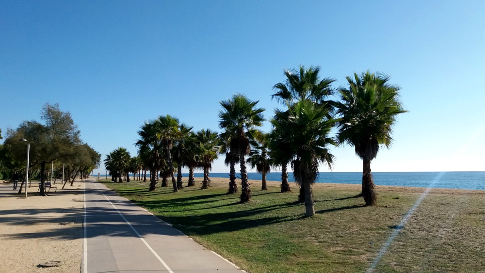 el temps pineda de mar