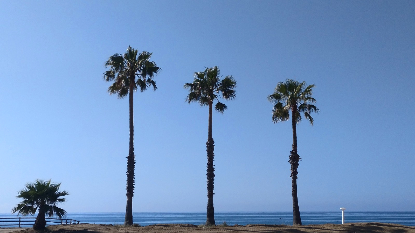 el temps pineda de mar