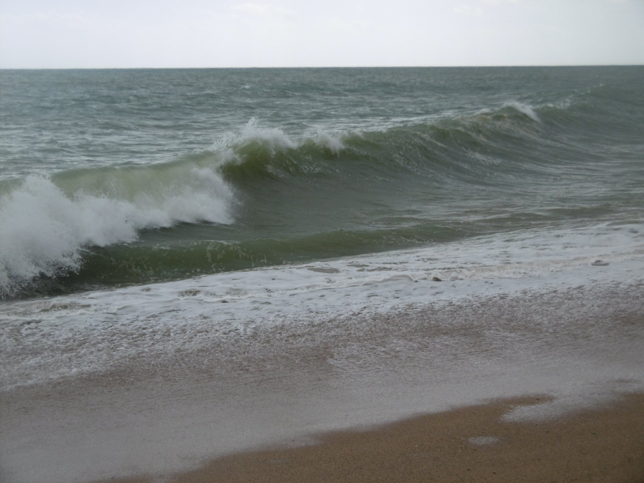 Temporal de mar