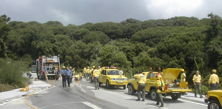 Risc d'incendi forestal